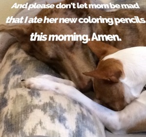 Pup's prayer